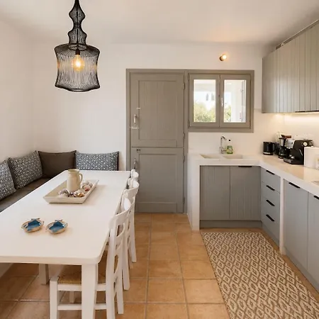 Spacious Cycladic House Near Logaras 別荘 *